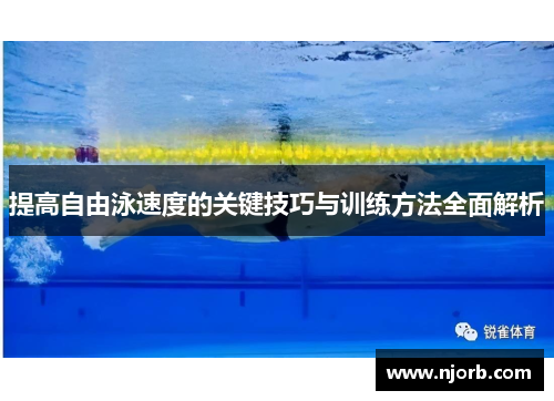 提高自由泳速度的关键技巧与训练方法全面解析