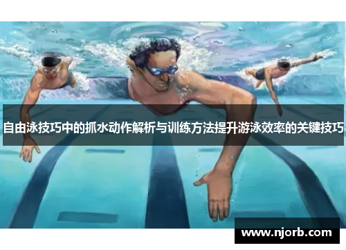 自由泳技巧中的抓水动作解析与训练方法提升游泳效率的关键技巧