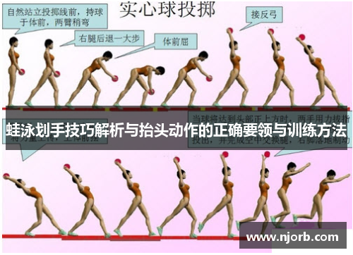 蛙泳划手技巧解析与抬头动作的正确要领与训练方法