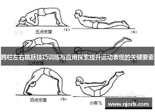 跨栏左右跳跃技巧训练与应用探索提升运动表现的关键要素