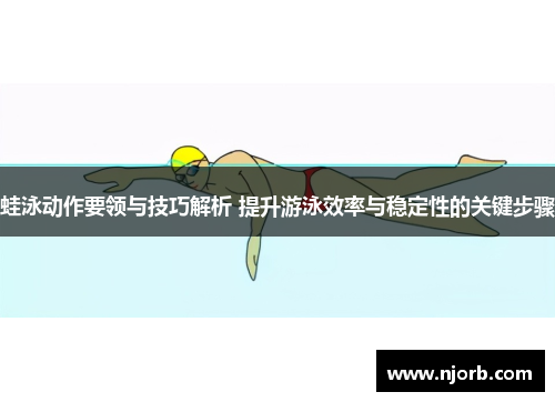 蛙泳动作要领与技巧解析 提升游泳效率与稳定性的关键步骤